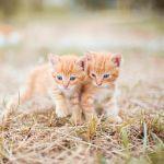 小事 · 你遇过的最温暖的瞬间是什么？