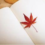 古代诗词是如何被记录并传播开来的？