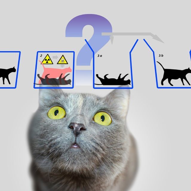 量子纠缠被证实意味着什么？