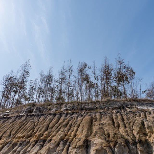 为什么渤海的庙岛列岛也会出现黄土高原的地貌特征？