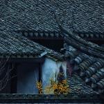 为什么汉史中很多大臣被皇帝责备后会自杀？