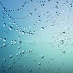 如果现实中可以廉价合成蜘蛛侠的蛛丝，会用作什么用途？