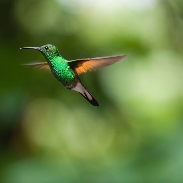 有没有长相相同，但基因截然不同的生物？