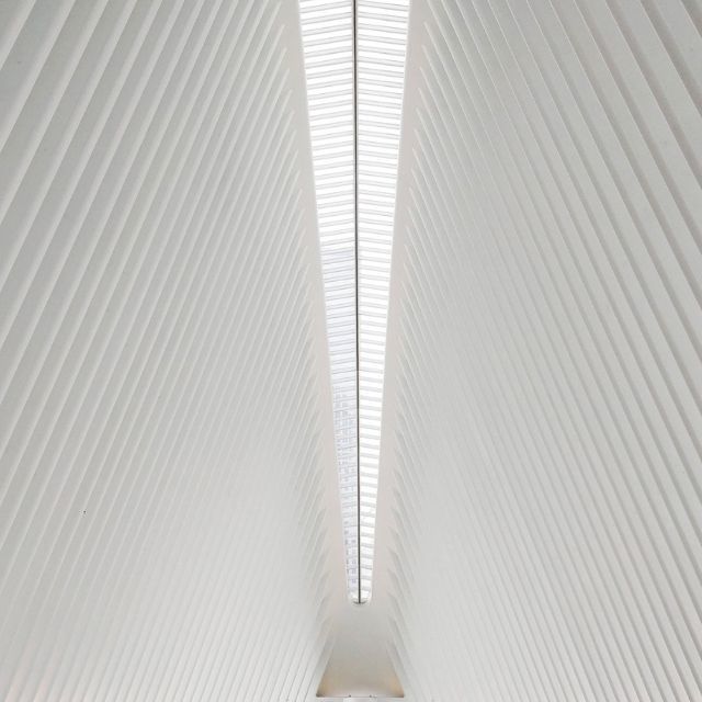 为什么对称性在物理学领域中如此重要？