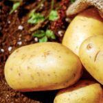 有没有什么东西是放久了还可以吃的？