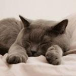 瞎扯 · 如何正确地吐槽