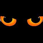 在没有任何东西阻挡的情况下，人的眼睛最远可以看多远？