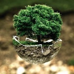 如果把地球生命历史分成两段来写，你觉得该以拿个事件或里程为分界？