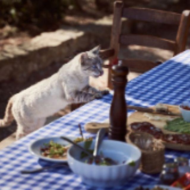 极度饥饿时人体会出现什么生理反应？