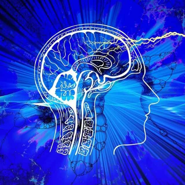 当人脑完全开发时有多厉害?