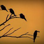 瞎扯 · 如何正确地吐槽