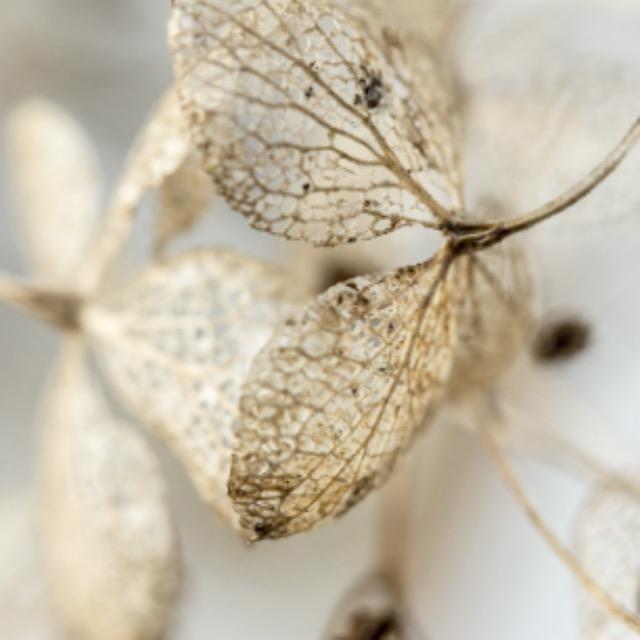 瞎扯 · 如何正确地吐槽