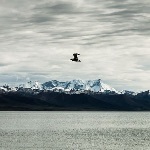 青藏高原上的人，是最初诞生在高原上的人，还是后来迁移过去的？