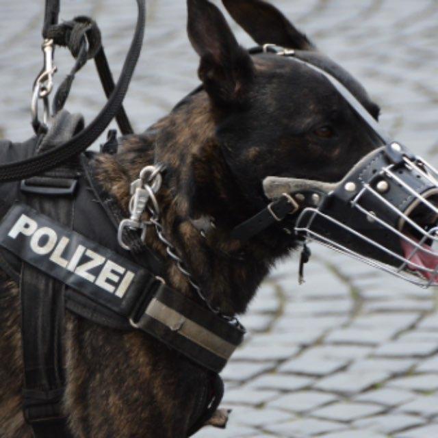 瞎扯 · 如何正确地吐槽