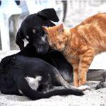 瞎扯 · 如何正确地吐槽