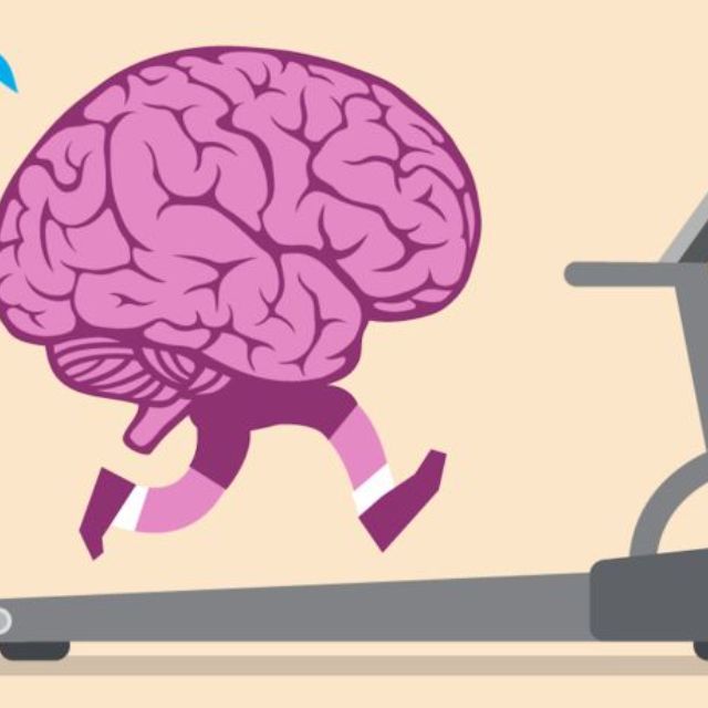 坚持跑步为什么会提高大脑认知能力，有什么科学依据吗？