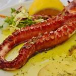 章鱼有两个记忆系统，三颗心脏，九个脑袋，可章鱼为何沦落成了人类烧烤摊的美味担当呢？章鱼是演化物种吗？