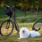 瞎扯 · 如何正确地吐槽