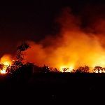 火灾中到底该不该用湿毛巾捂住口鼻？