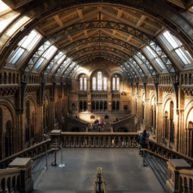 各地博物馆的镇馆之宝有哪些？