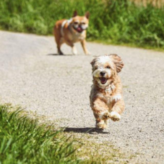 瞎扯 · 如何正确地吐槽