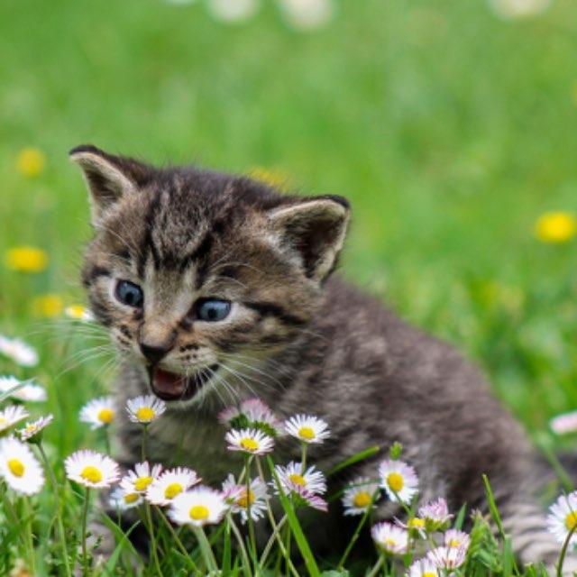 瞎扯 · 如何正确地吐槽