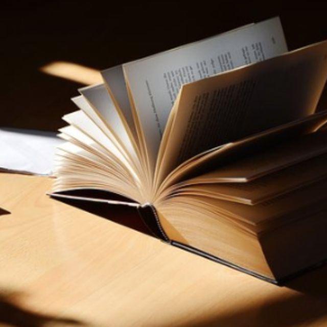 怎么看待国内很多时候将越南语和泰语归入汉藏语系？