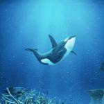 中国有哪些特有物种？