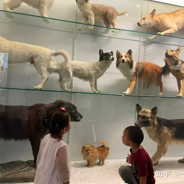 学龄前儿童，过早接触博物馆、艺术馆、科技馆等会对孩子产生什么样的影响?