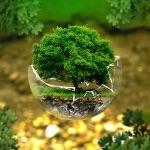 哪个瞬间让你爱上了生物学？