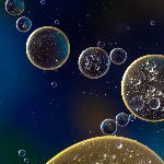 有没有一种液体可以使哺乳动物在里面呼吸？