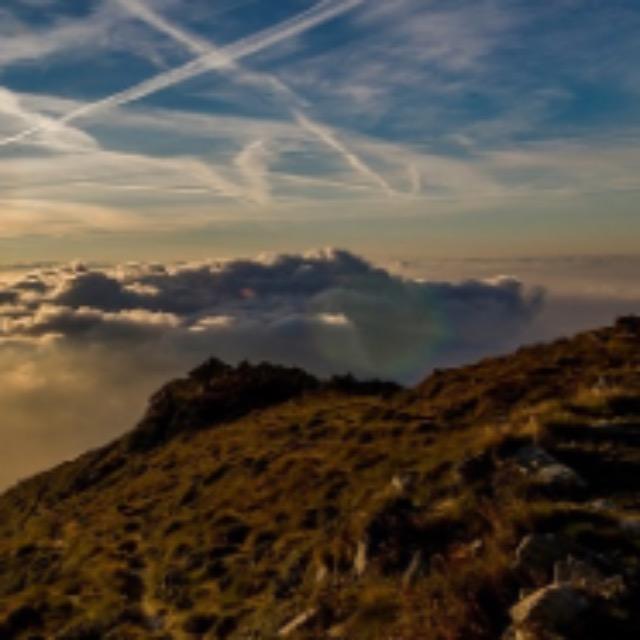 为什么《水浒传》特别真实？