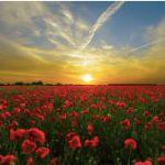 如何让太阳从西边升起？