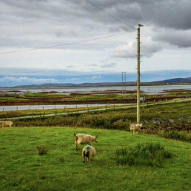 小事 · 有趣的生活是什么样的？