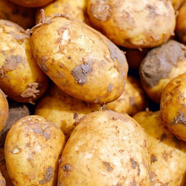 为什么土豆没成为中国人的一种主食?