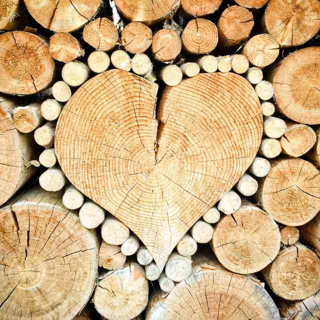 为什么大自然中的树木都是圆柱型的枝干？而不是三棱柱和矩形柱？