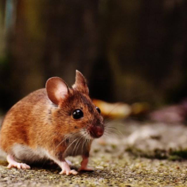 瞎扯 · 如何正确地吐槽