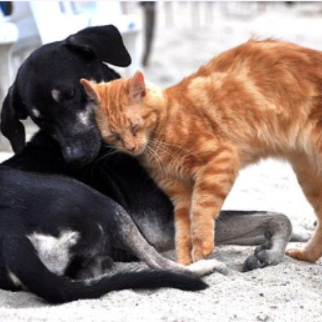 瞎扯 · 如何正确地吐槽