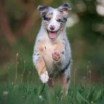 小事 · 你遇过的最温暖的瞬间是什么？