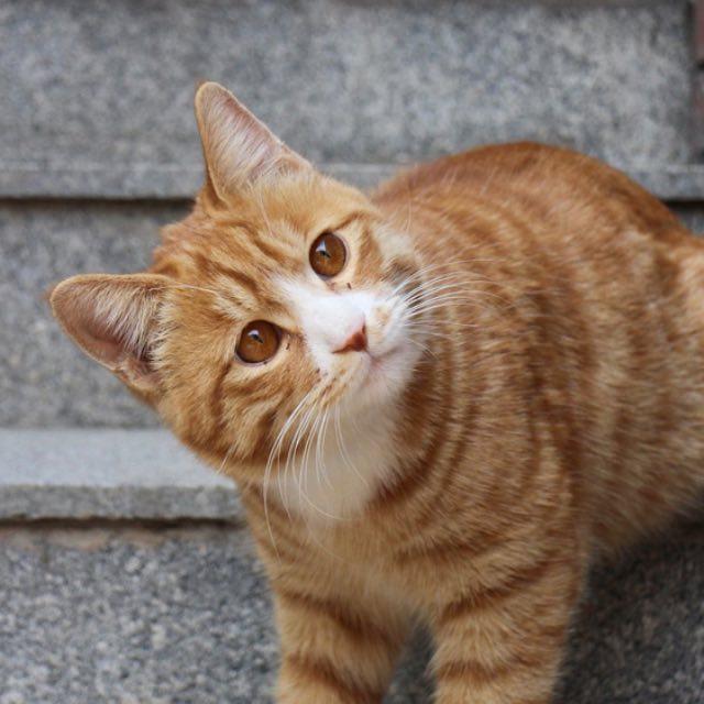 瞎扯 · 如何正确地吐槽