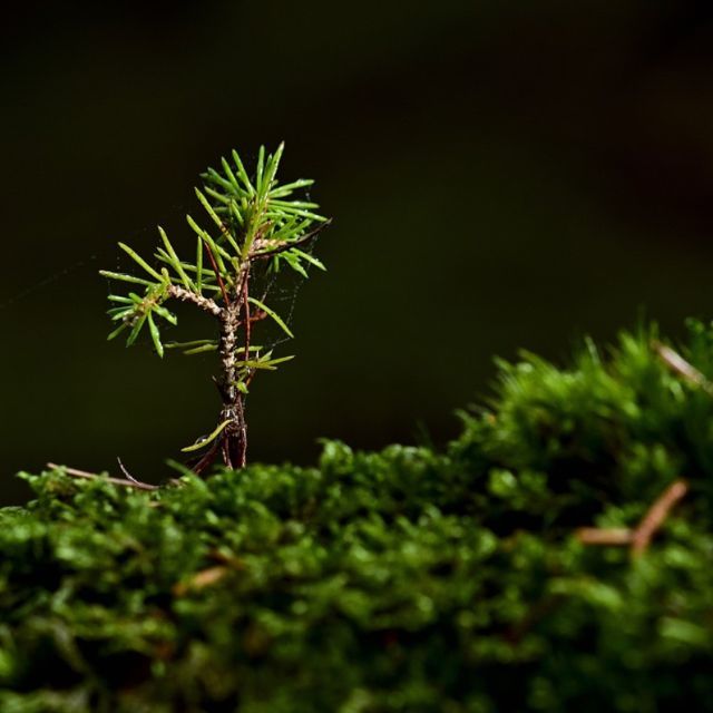 什么是你领悟最深的人生真谛？
