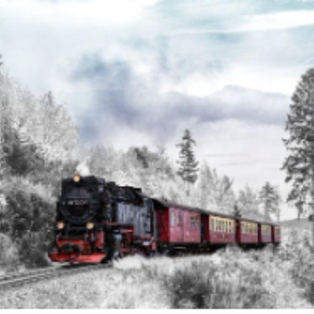 小事 · 最爱的人突然去世后，你每天怎么过的？