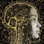 给 ChatGPT 施咒，让它为你制作 Anki 卡片—— Prompt 工程案例