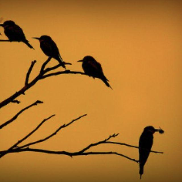 瞎扯 · 如何正确地吐槽