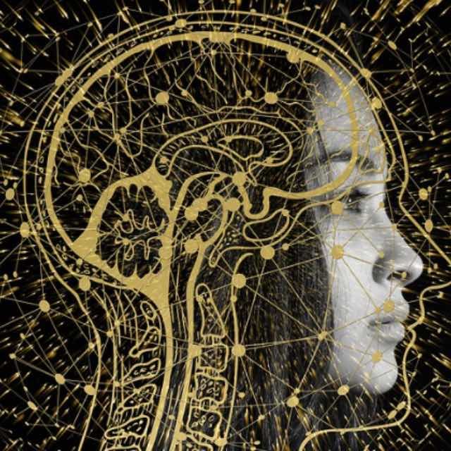 给 ChatGPT 施咒，让它为你制作 Anki 卡片—— Prompt 工程案例