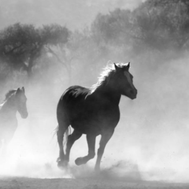 认为黑暗是一种颜色，而寂静并非是一种声音，这是否合理？