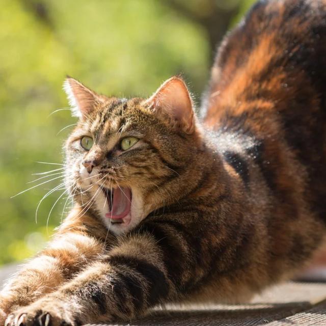 人静止提着物体不做功，那为什么会感到累？