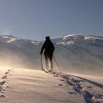 人类的肉体条件是否限制了人类文明发展？