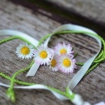 瞎扯·如何正确地吐槽