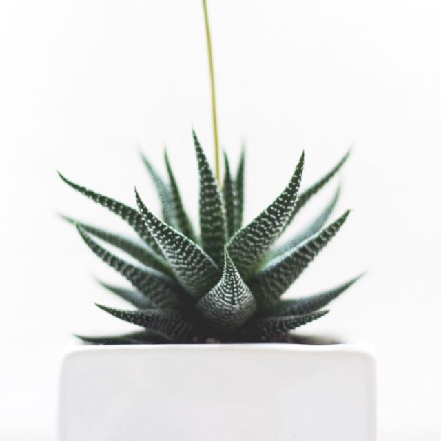 活不下去了，能送我一句话吗？